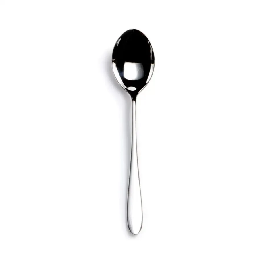 Pride Stainless Teaspoon