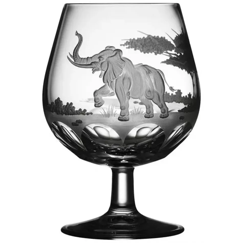 Safari Elephant Clear Brandy