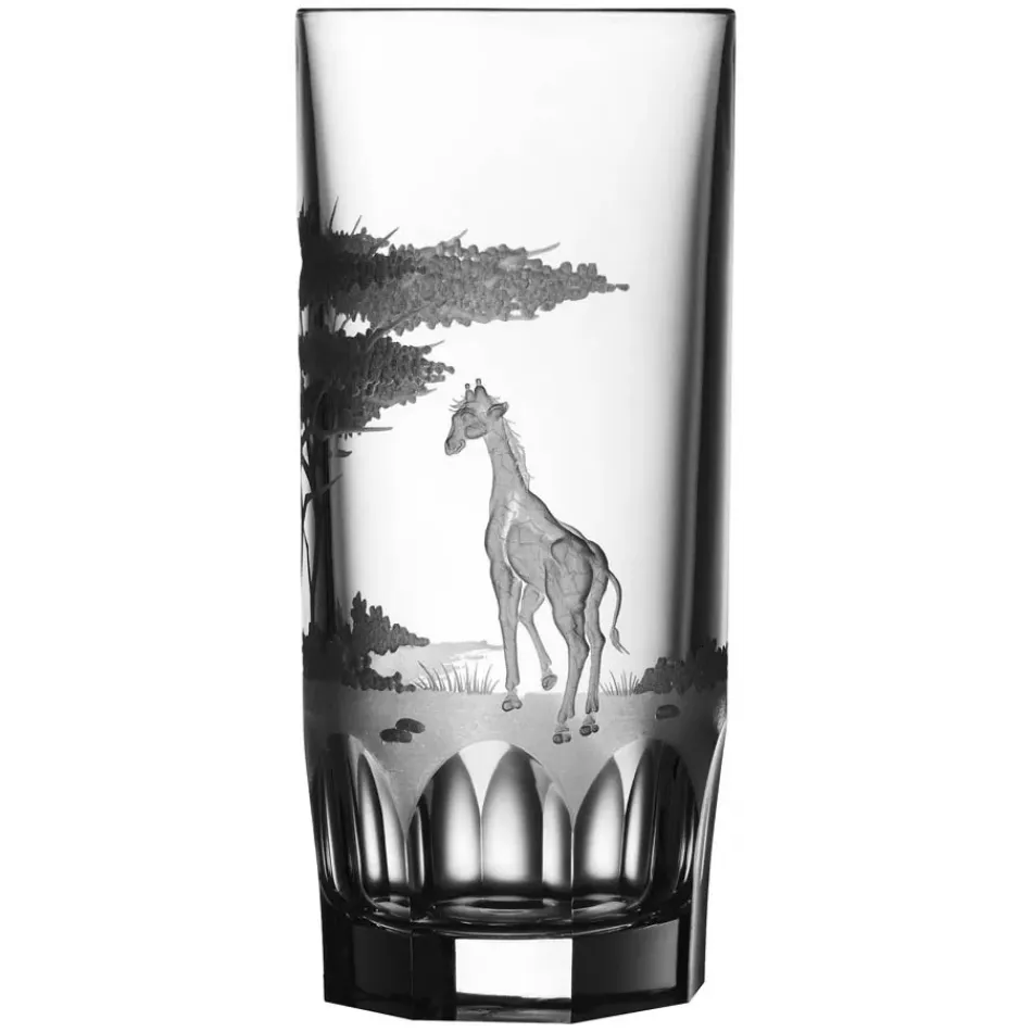 Safari Giraffe Clear Highball Tumbler