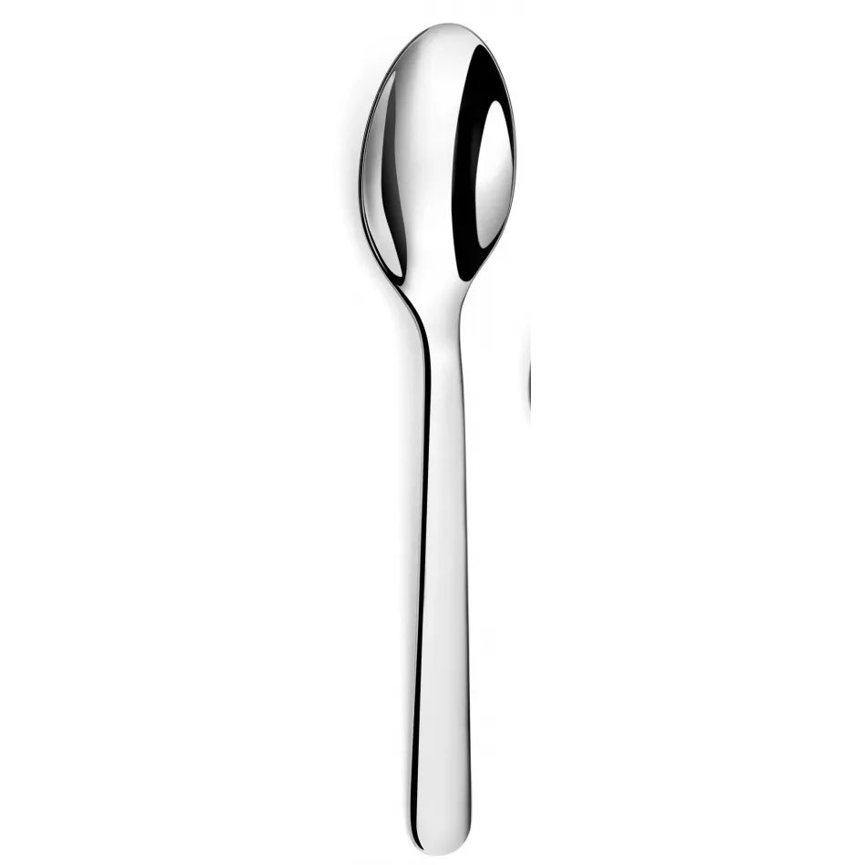 Alkaline Stainless Serving Spoon