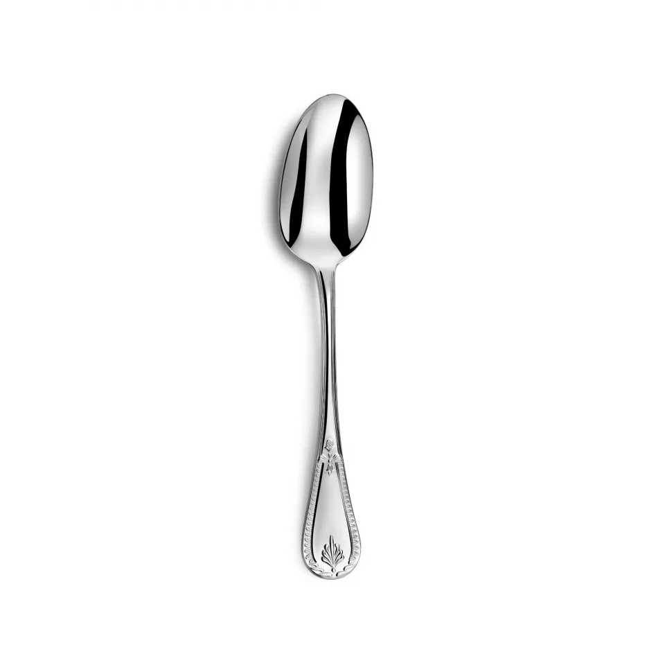 Consul Stainless Steel Serving Spoon