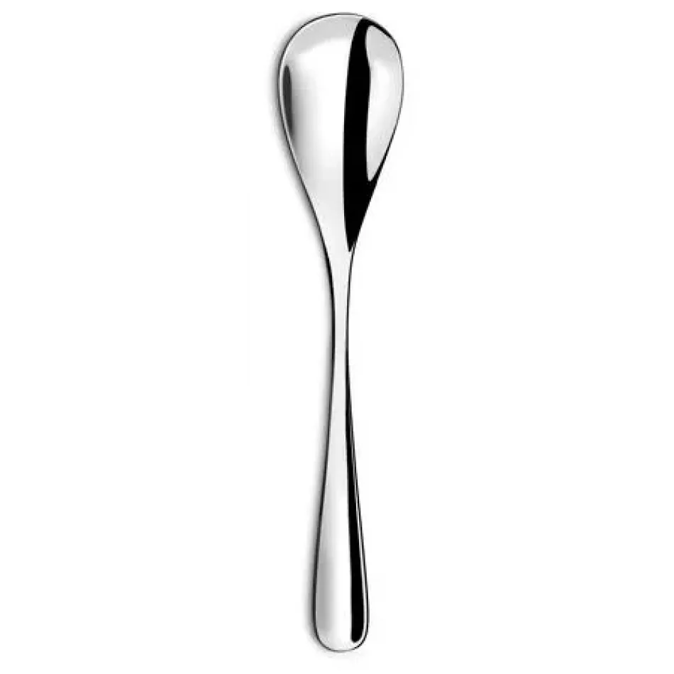 Eole Stainless Steel Serving Spoon