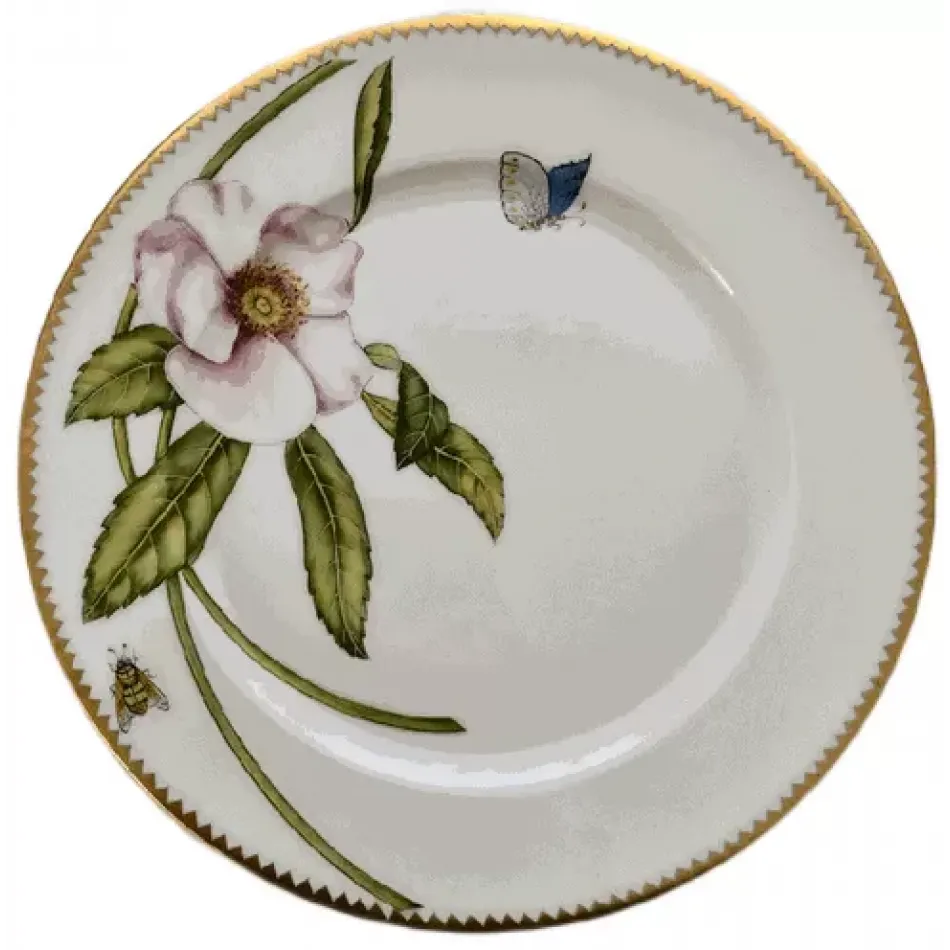 Peony Pink Dinnerware