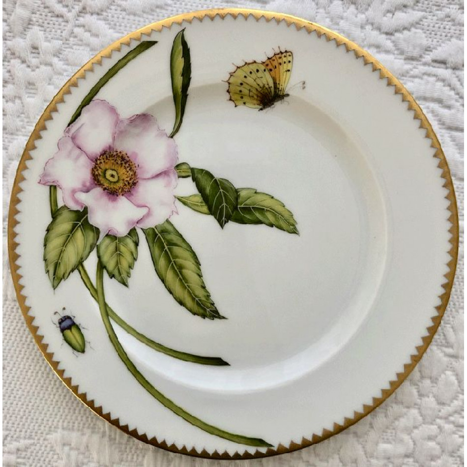 Peony Pink Salad Plate