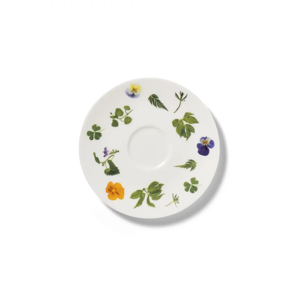 Wildkräuter Saucer 0.20 L / 0.25 L