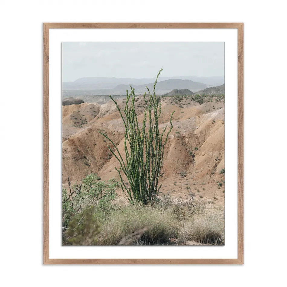 Ocotillo by Mandy Steinback Rustic 2.5 Walnut 33" x 40"