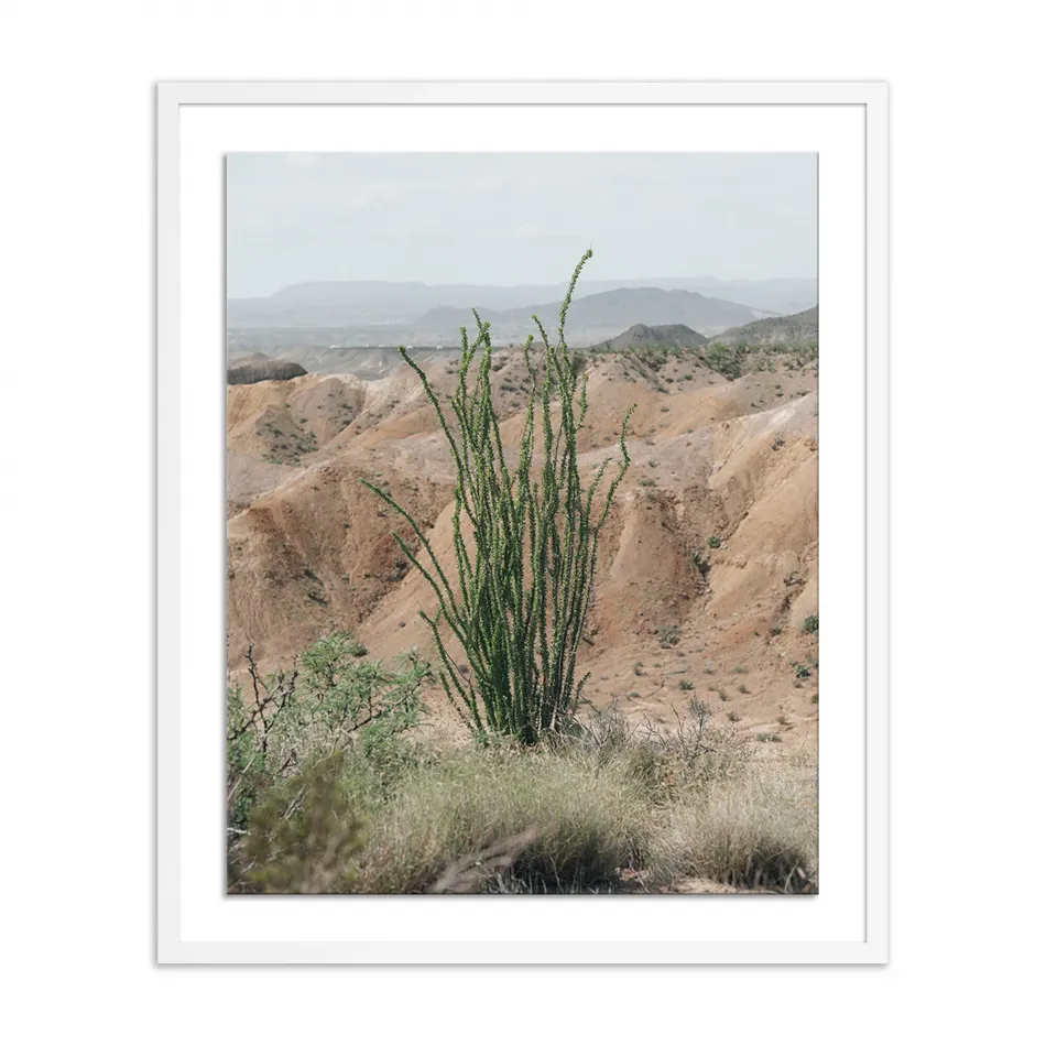 Ocotillo by Mandy Steinback White 2.5 Maple 33" x 40"