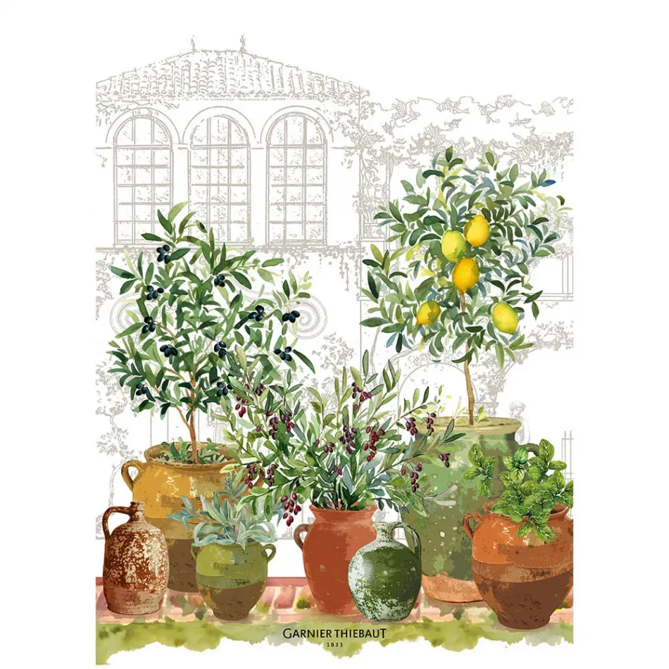 Jardin Provencal Olive Kitchen Towel 20"x28"
