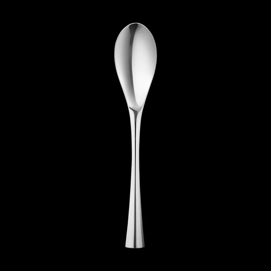 Cobra Stainless Steel Dinner Spoon