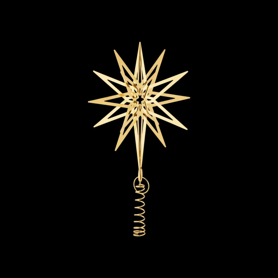 2025 Lyra Top Star Medium