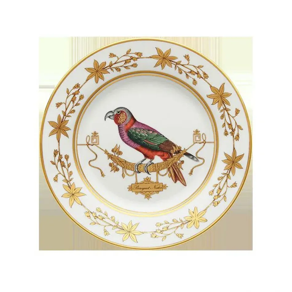 Voliere Perroquet Nestor Flat Dinner Plate 11 in