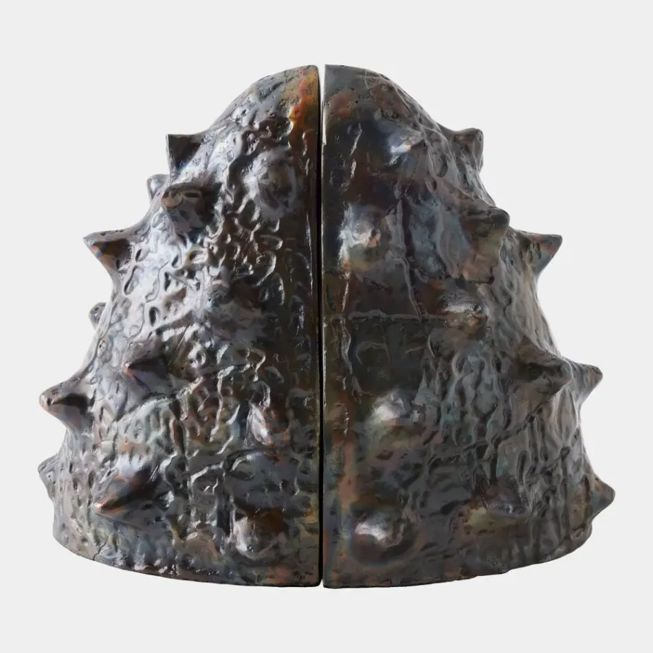 Biomorphic Bronze/Brass Bookends