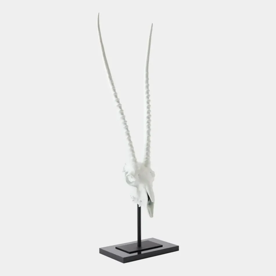 Gemsbok Matte White Skull Sculpture
