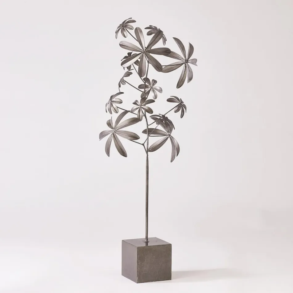 Dieffenbachia Plant Natural Iron