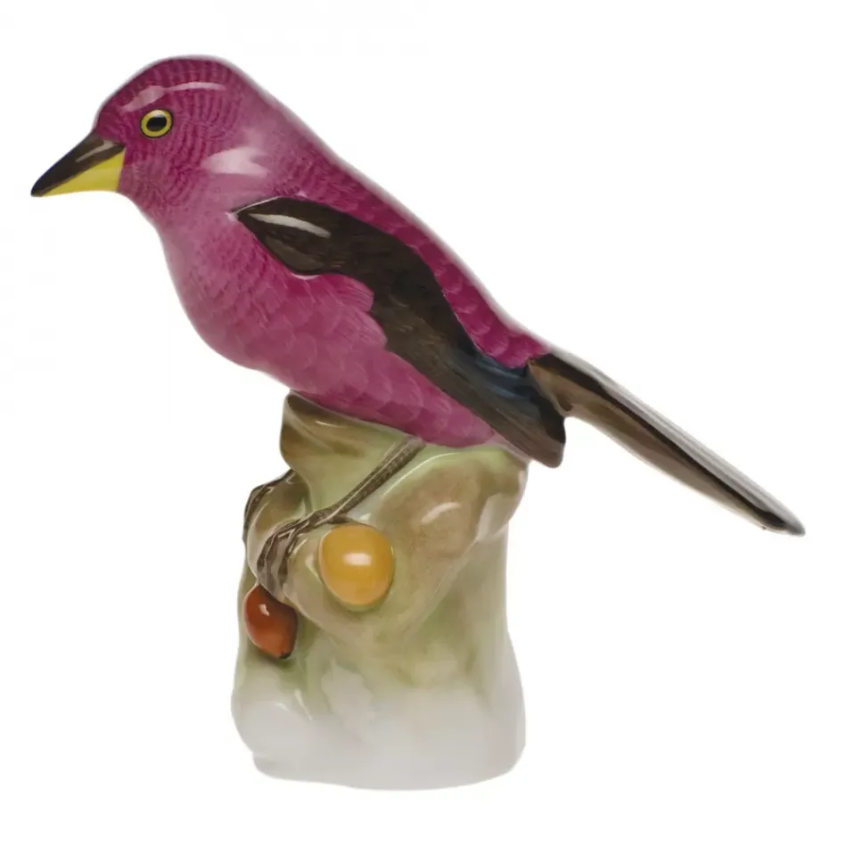 Cardinal Natural