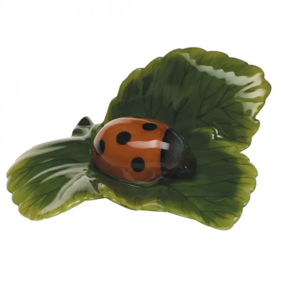 Ladybug Natural 1.5 in H X 3.25 in L