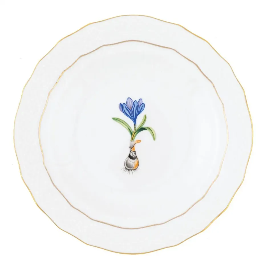 Spring Bulbs Multicolor Spring Dessert -Crocus