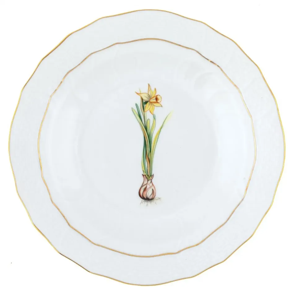 Spring Bulbs Multicolor Spring Dessert -Daffodil