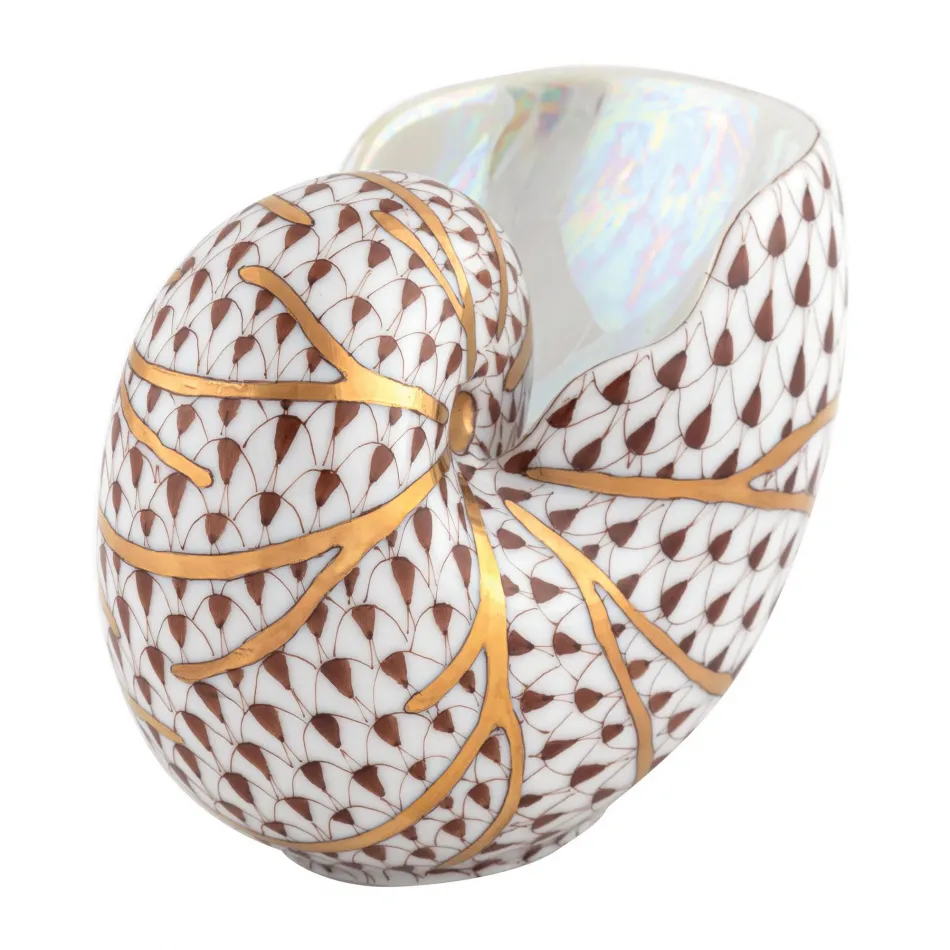 Small Nautilus Chocolate 3.25 in L X 2 in W X 2.5 in H
