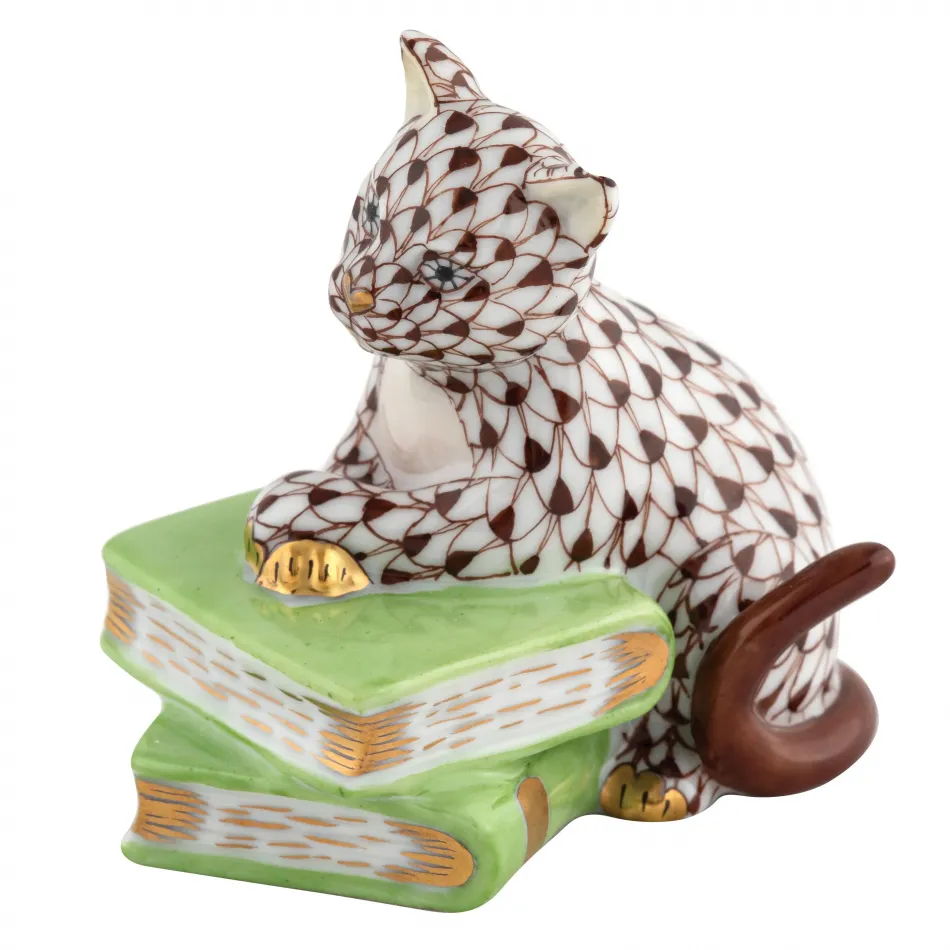 Cat On Books Chocolate