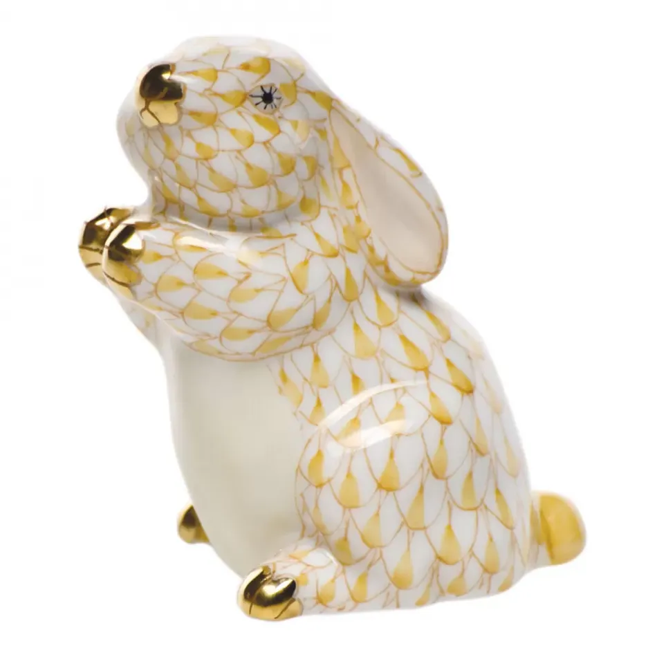 Pudgy Bunny Butterscotch