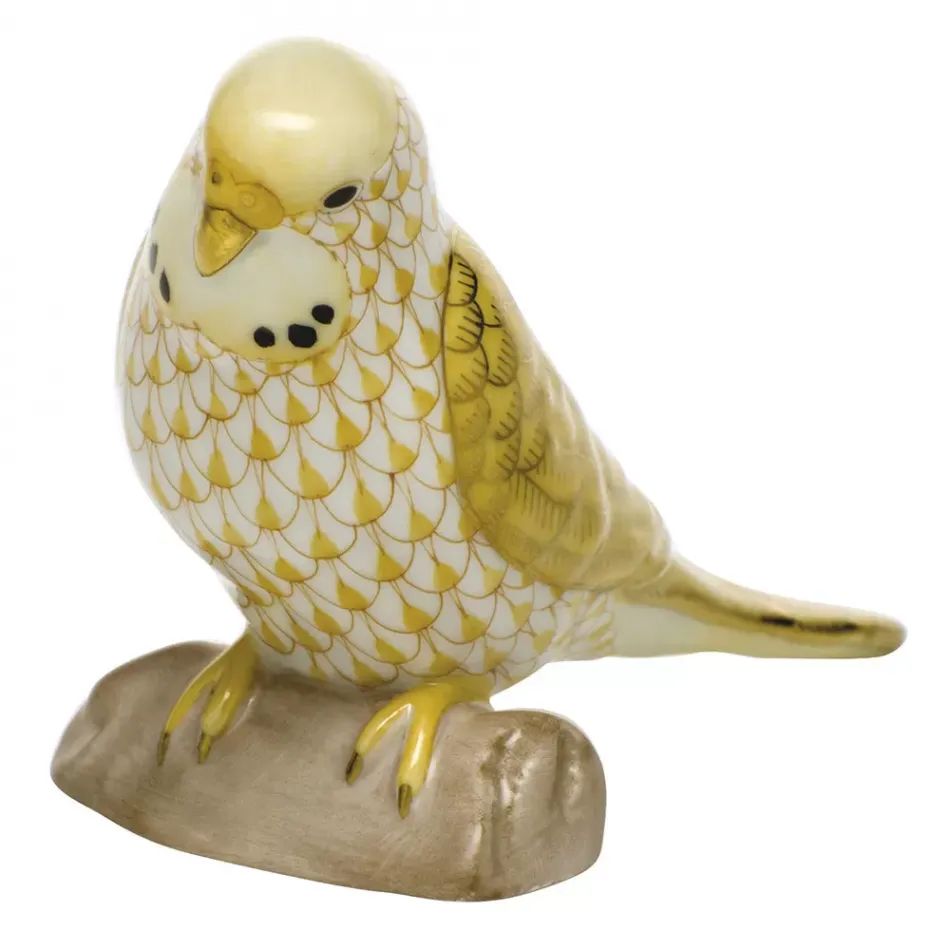 Parakeet Butterscotch 4 in L X 2.75 in H