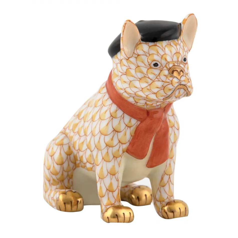 French Frenchie Butterscotch