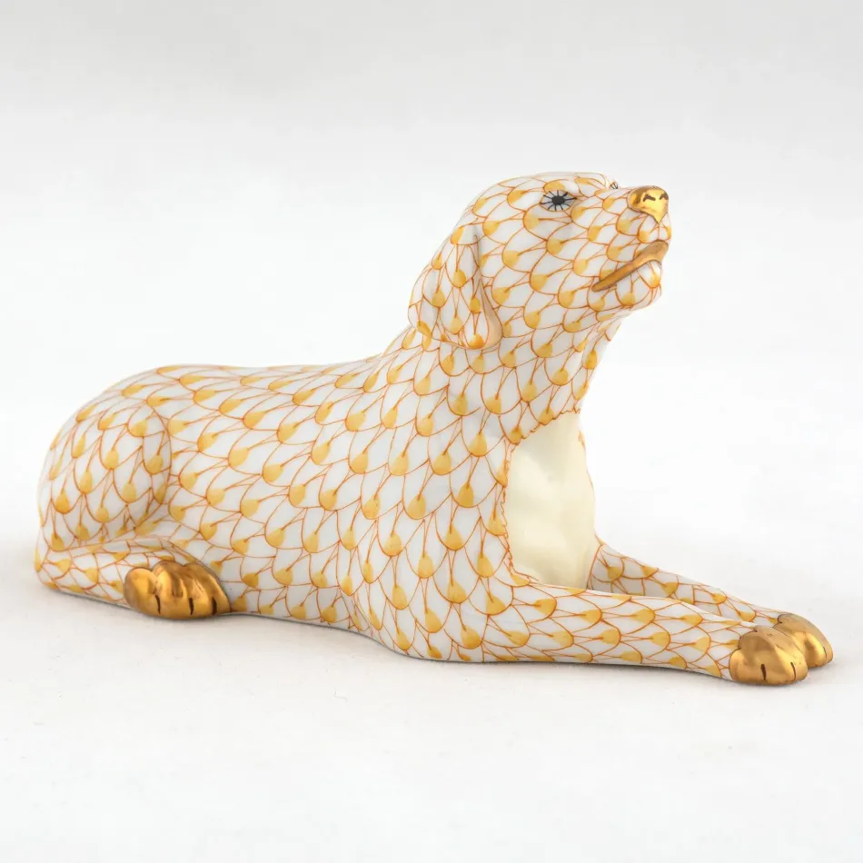 Singing Labrador Butterscotch