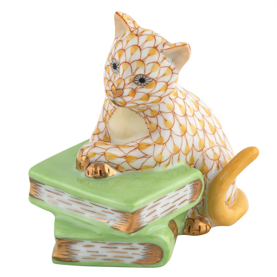 Cat On Books Butterscotch