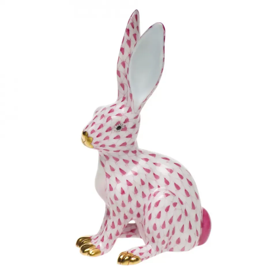 Jack Rabbit Raspberry 2.75 in L X 5 in H