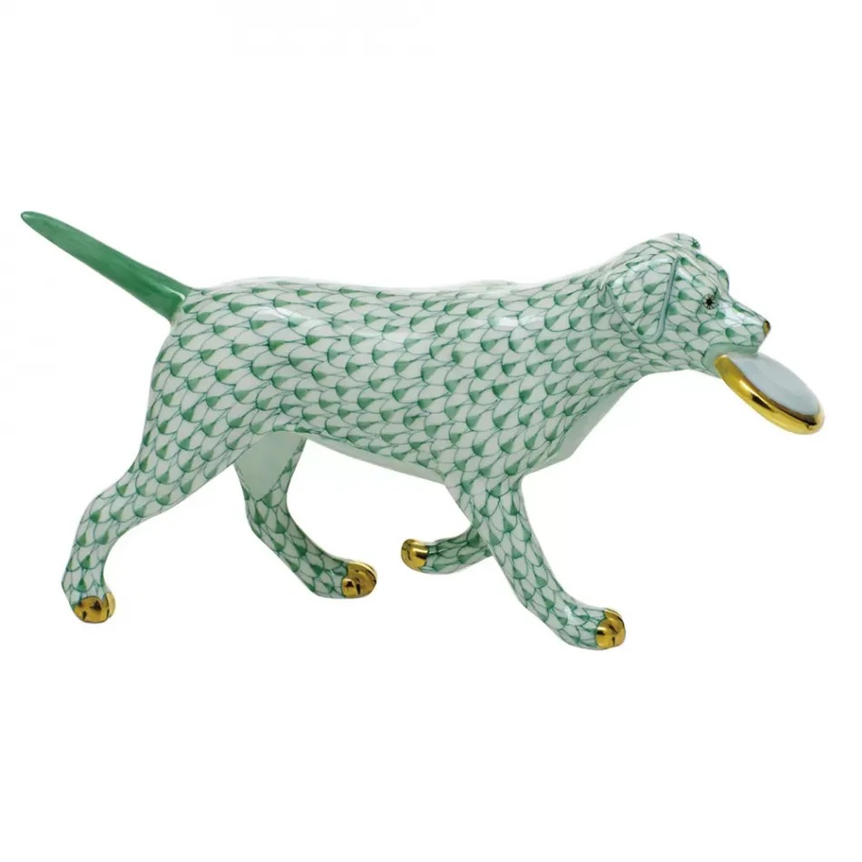 Frisbee Dog Green 6.75 in L X 1.75 in W X 3.5 in H