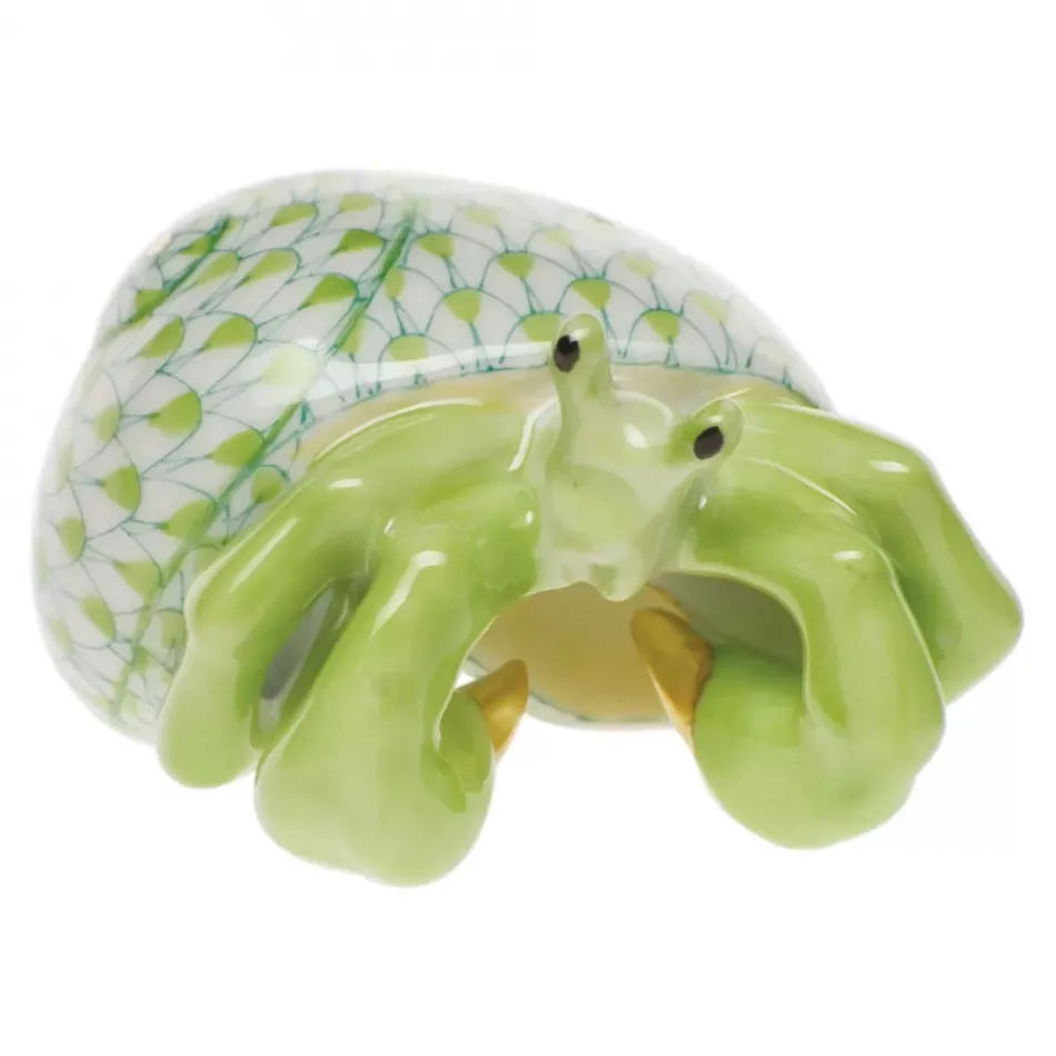 Hermit Crab Key Lime 2.25 in L X 1.25 in H