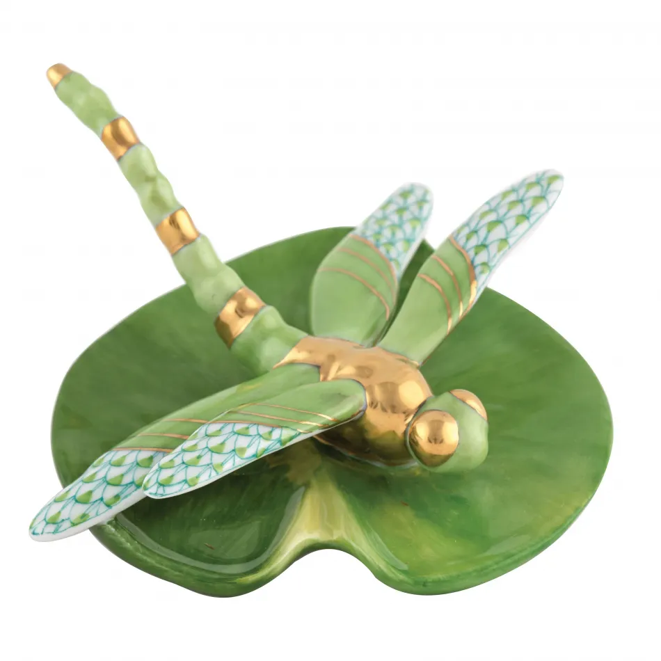 Dragonfly On Lily Pad Keylime