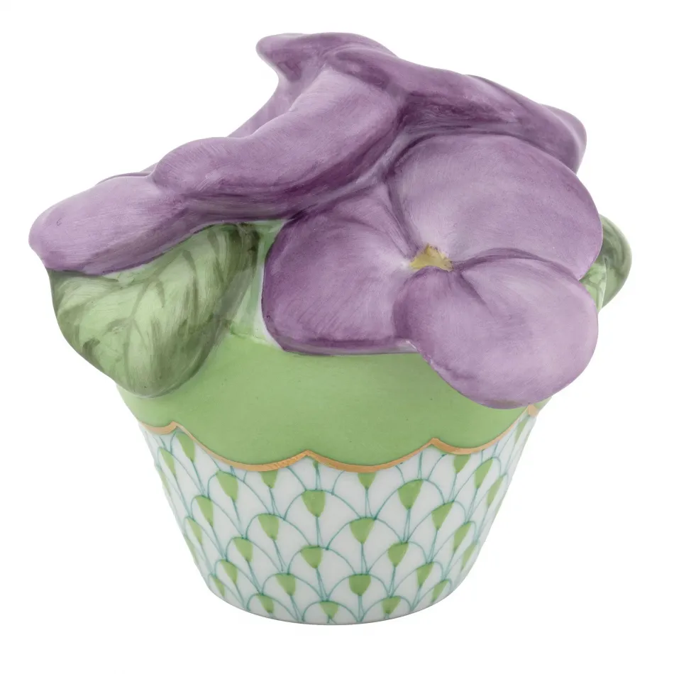 Pansies In Flowerpot Keylime