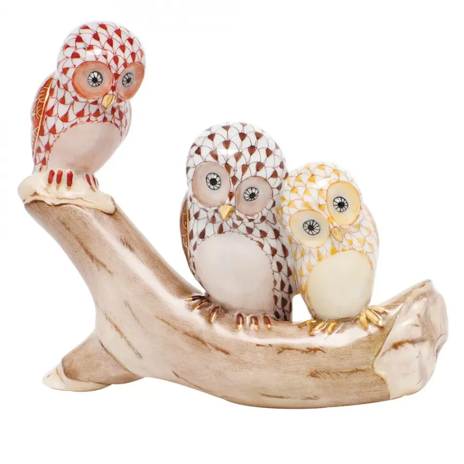 Owls On Branch Rust/Chocolate/Butterscotch 4.25 in W X 3.5 in H