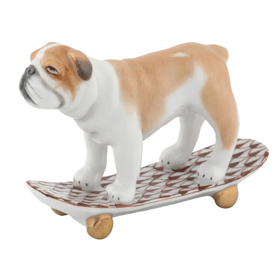 Skateboarding Bulldog Chocolate