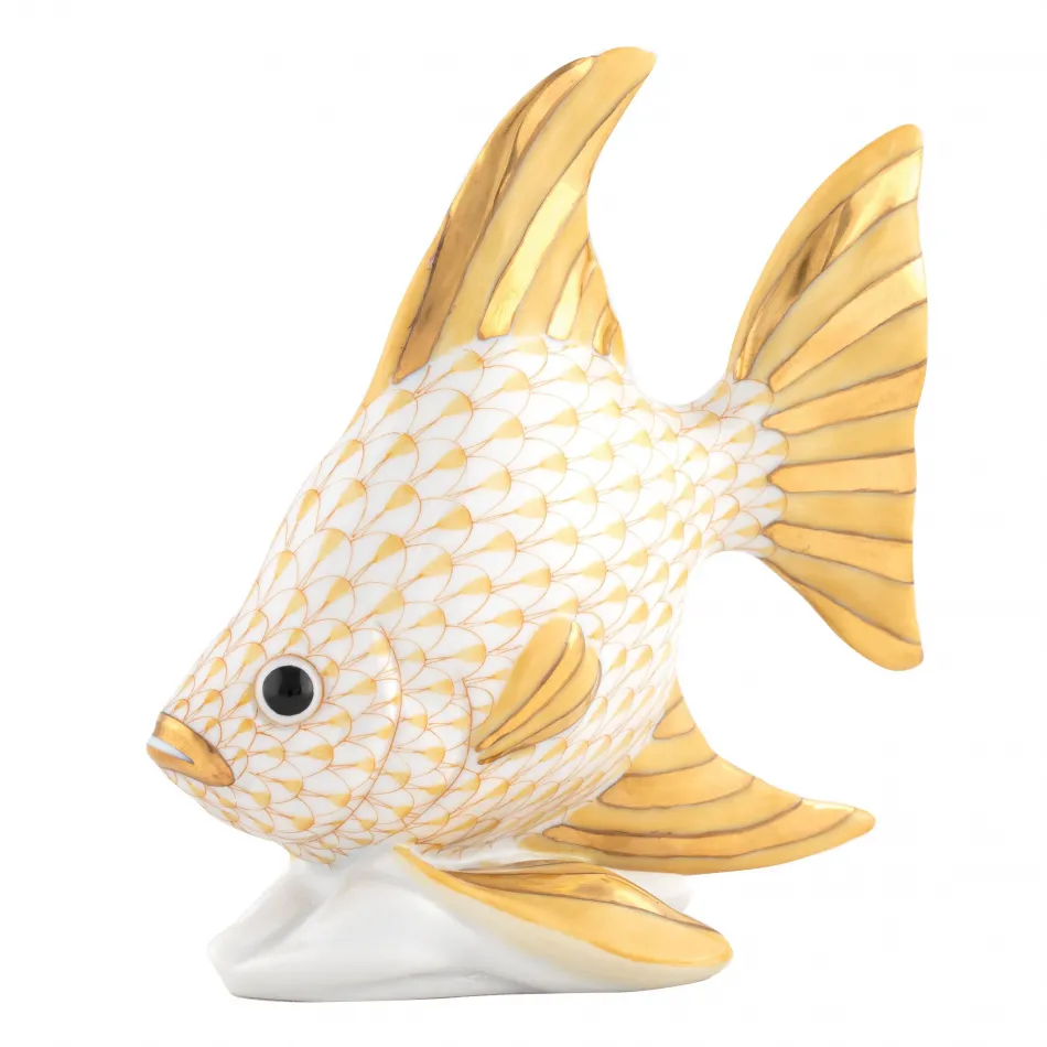 Angel Fish Butterscotch 4.5 in L X 2.25 in W X 4.5 in H