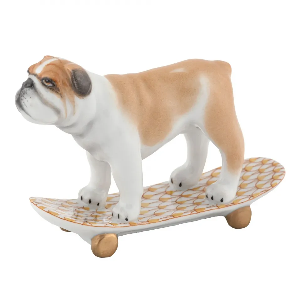 Skateboarding Bulldog Butterscotch
