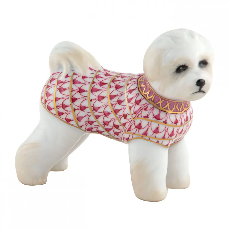 Bichon Frise Raspberry