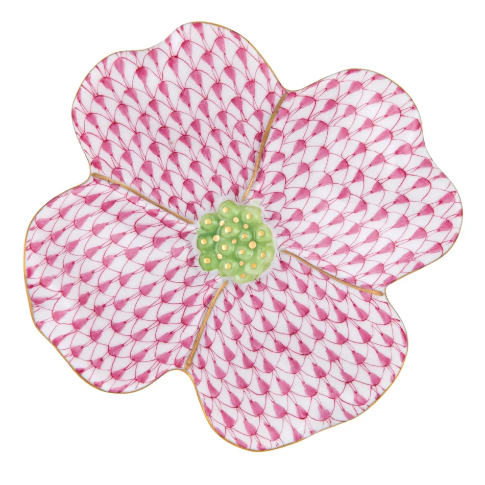Dogwood Flower Raspberry