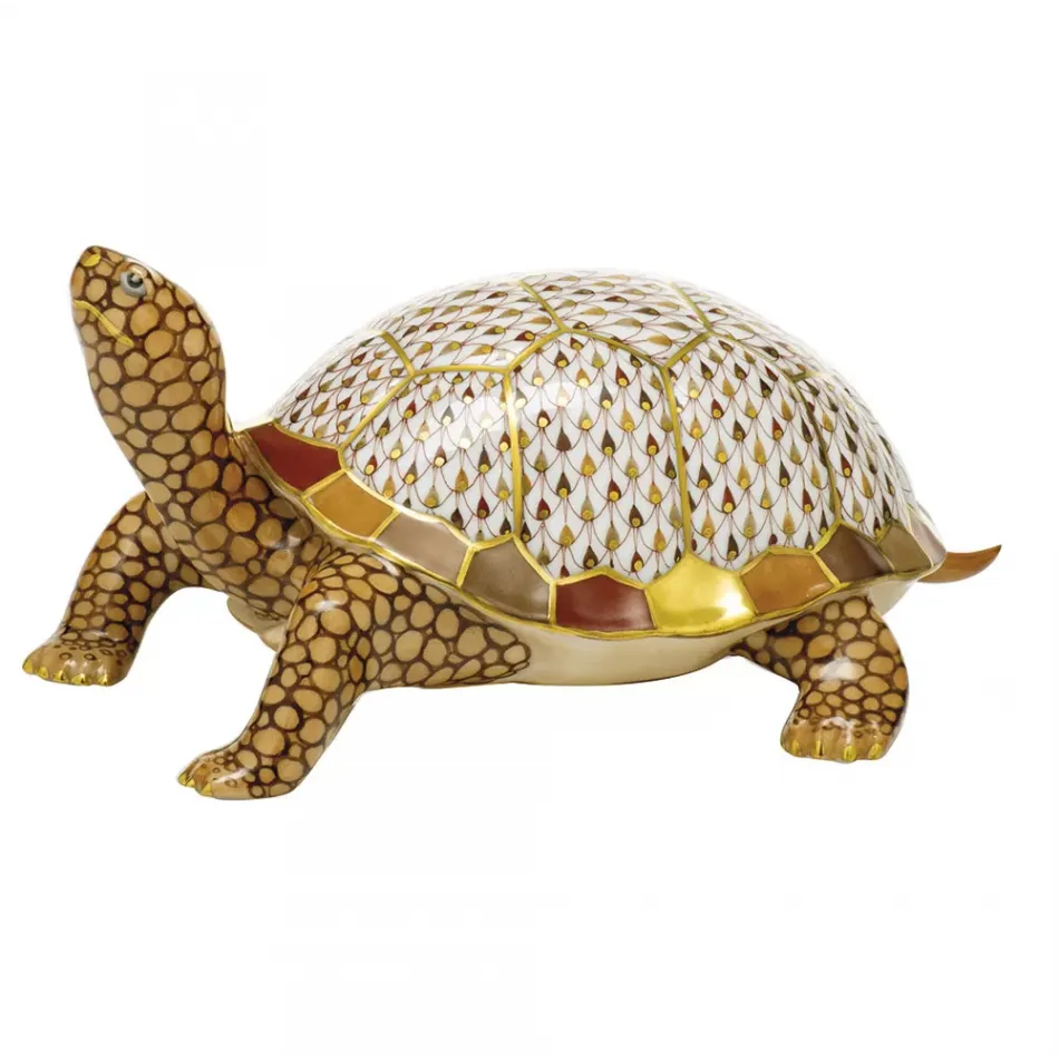 Box Turtle Multicolor 7 in L X 5 in W X 3.25 in H