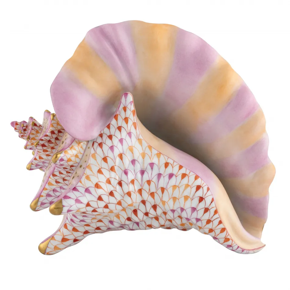 Conch Shell Multicolor