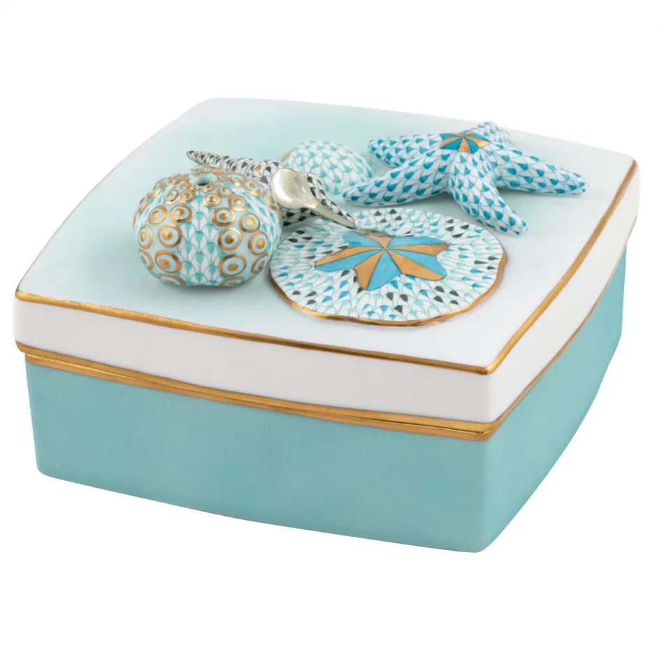 Shell Box Multi 6.75in L X 6.75in W X 4in H