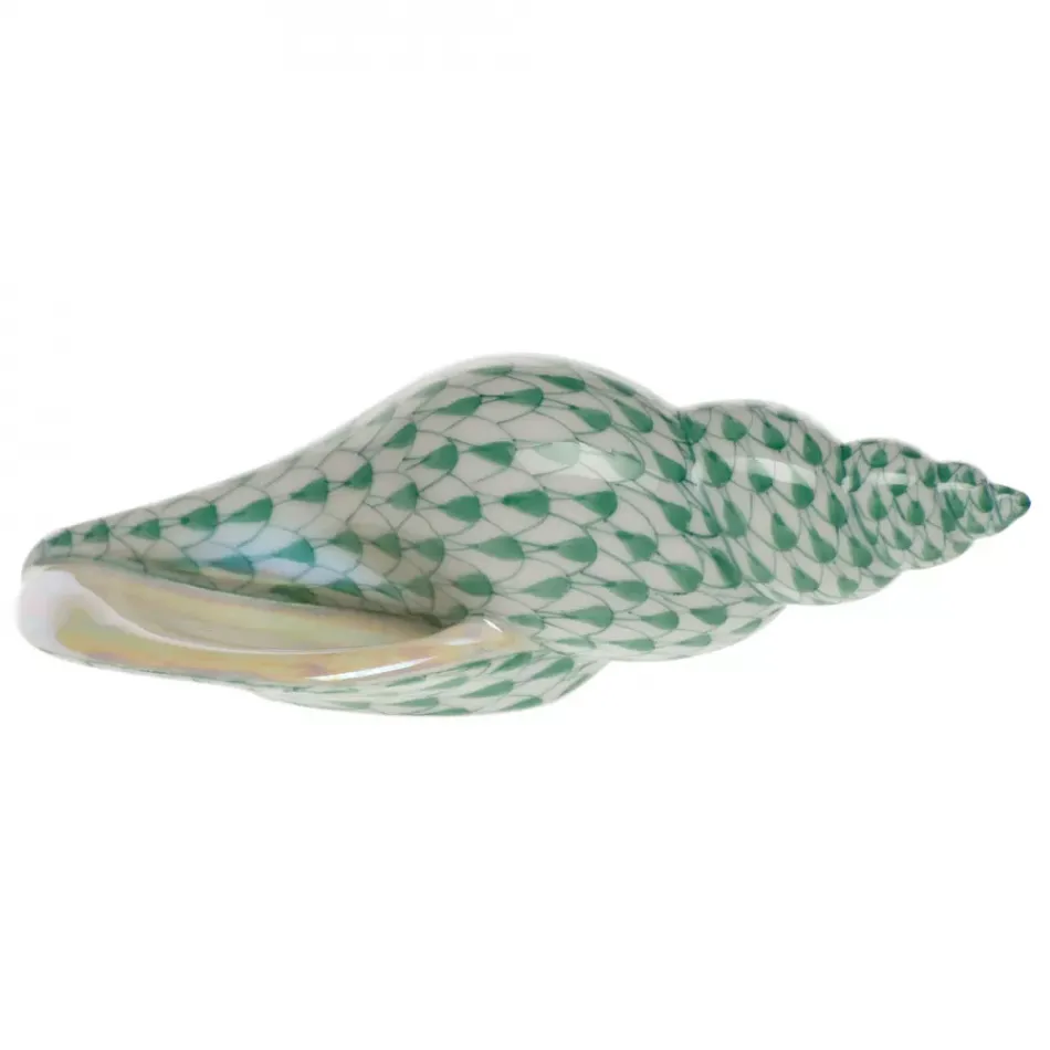 Tulip Shell Green 5 in L