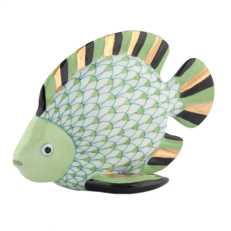 Fish Keylime