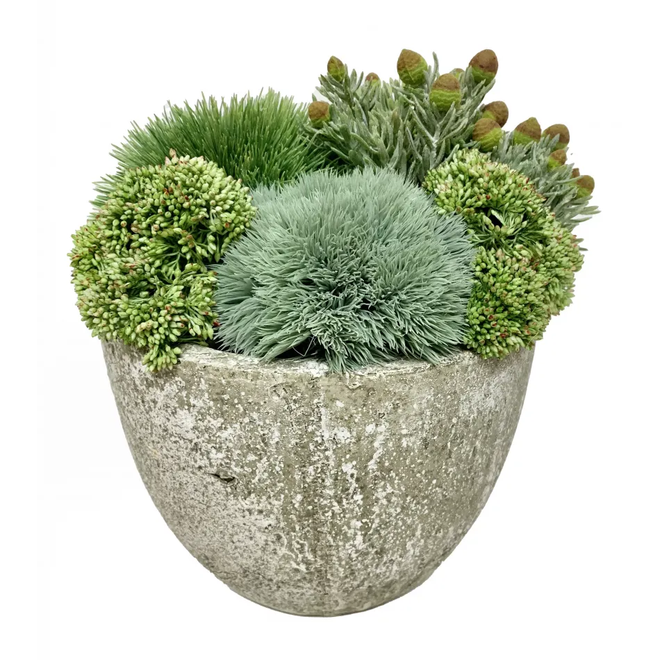 Grass, Sedum, Succulent Pot 11 x 13 x 13"