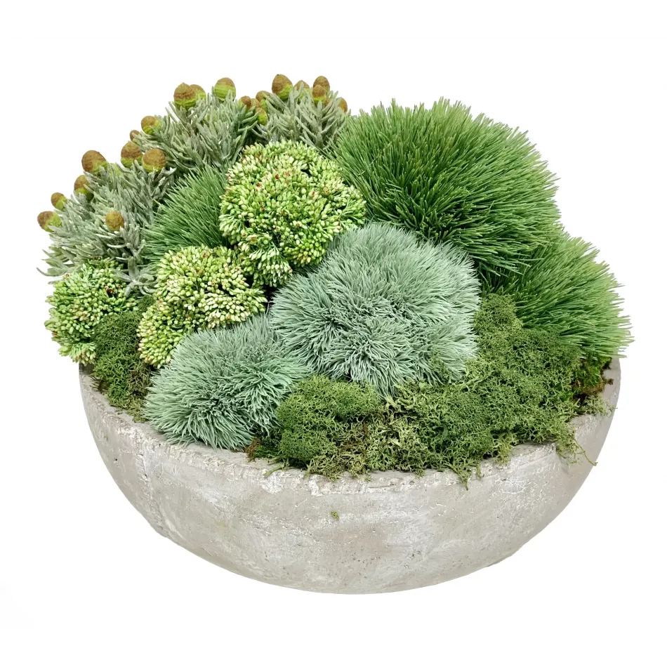 Grass, Sedum, Succulent Bowl 16 x 16 x 14"