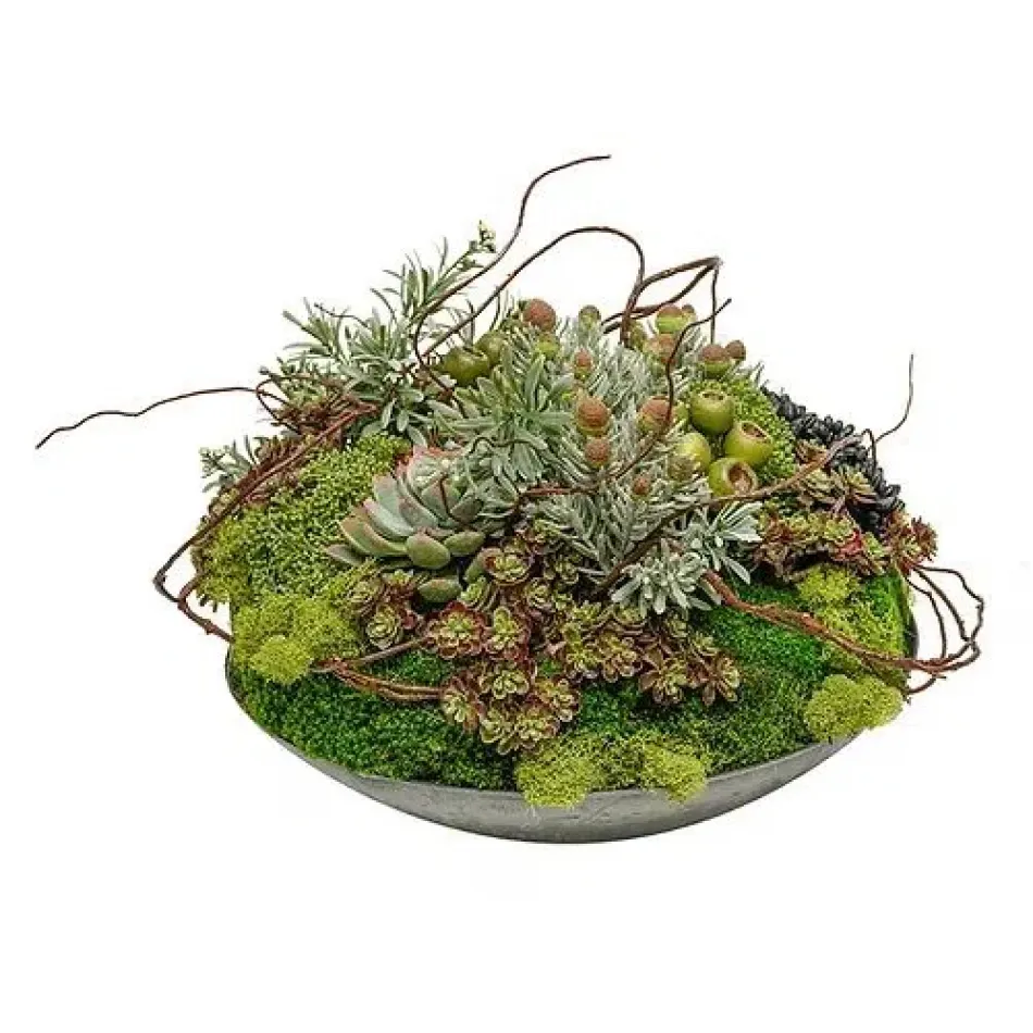 Black Bowl With Succulents/ Curly Willow