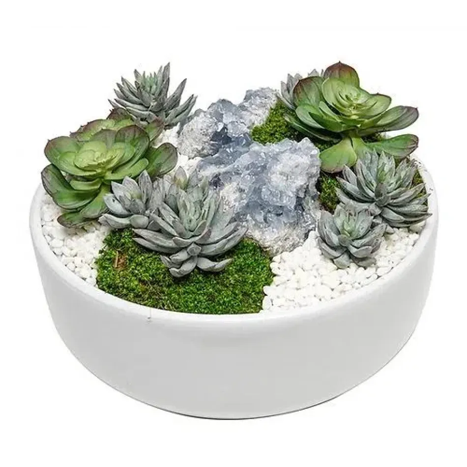 White Bowl With Succulents/ Blue Crystals