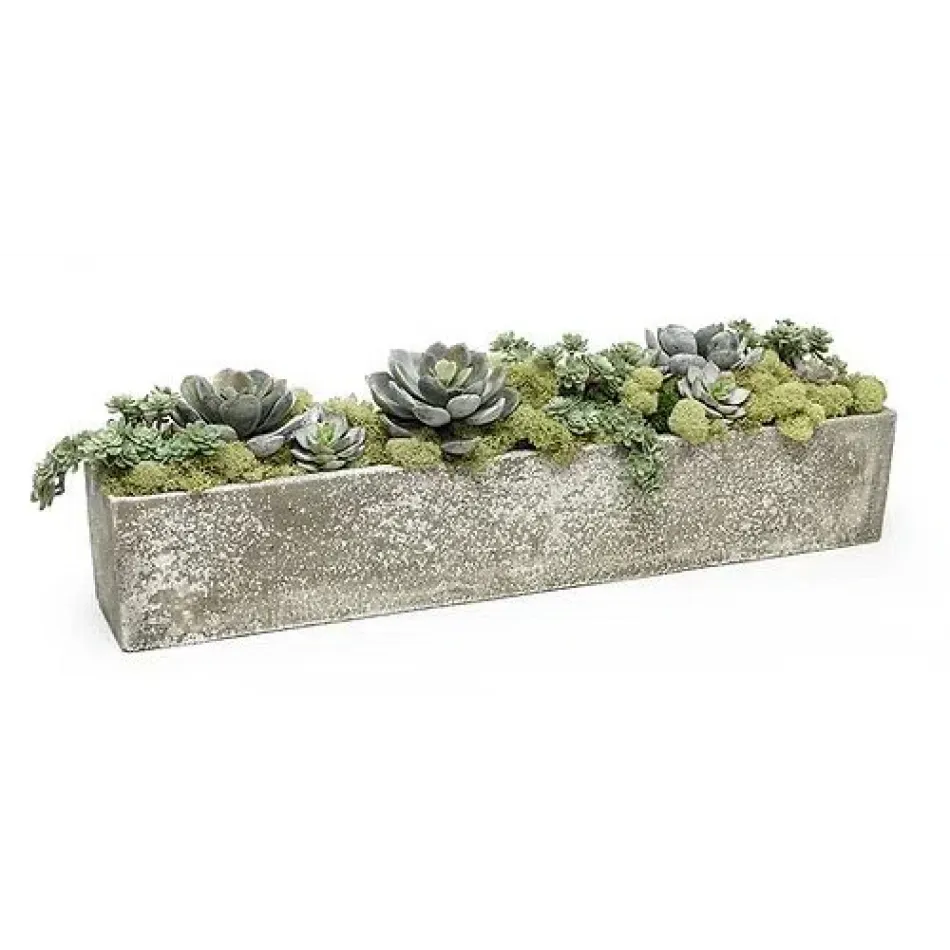 Stoneware Planter With Succulents